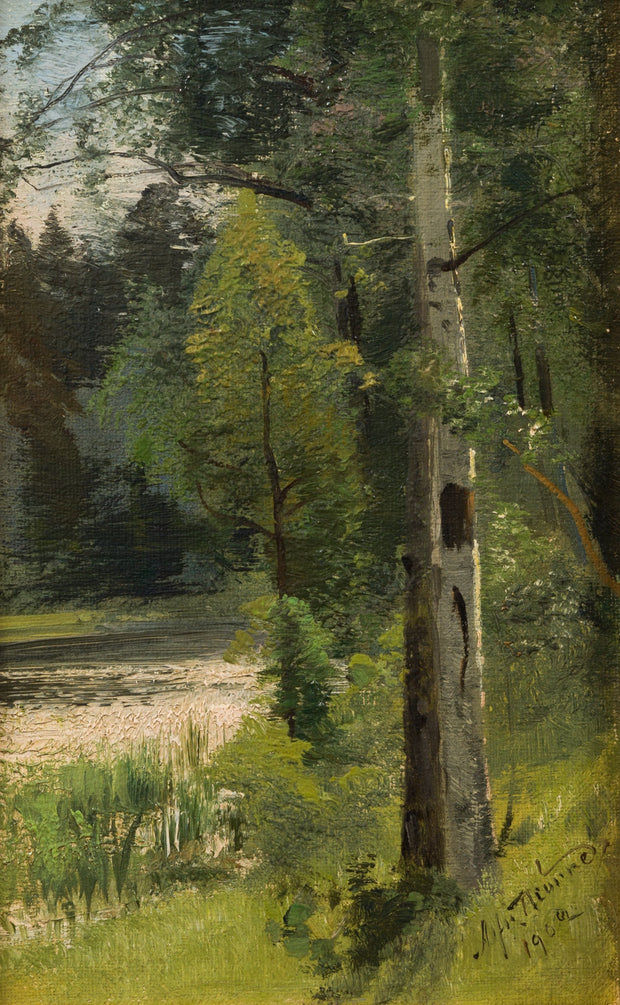 Alfred Thörne - Birch Trees by the Stream - CLASSICARTWORKS