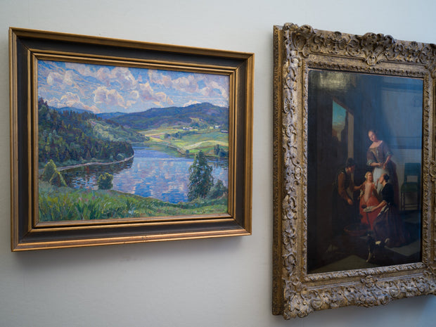 Carl Johansson - Landscape from Nordingrå - CLASSICARTWORKS