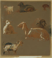 Egron Lundgren - Goats and Sheep in Various Poses, Cairo - CLASSICARTWORKS