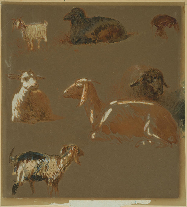 Egron Lundgren - Goats and Sheep in Various Poses, Cairo - CLASSICARTWORKS