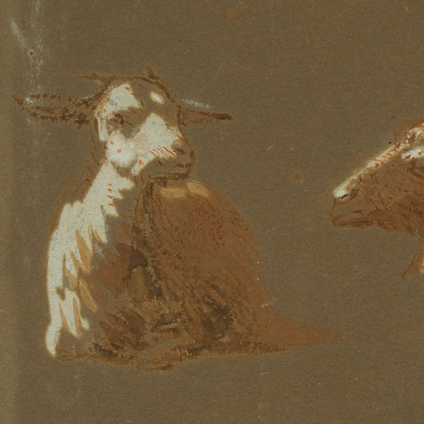 Egron Lundgren - Goats and Sheep in Various Poses, Cairo - CLASSICARTWORKS