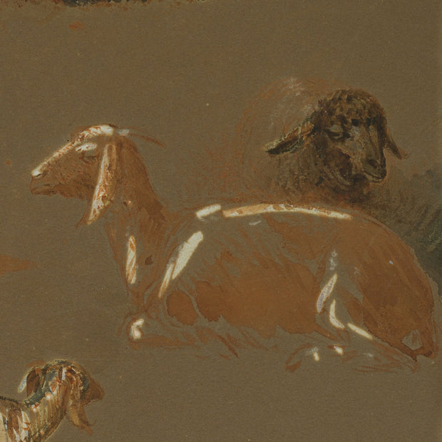 Egron Lundgren - Goats and Sheep in Various Poses, Cairo - CLASSICARTWORKS