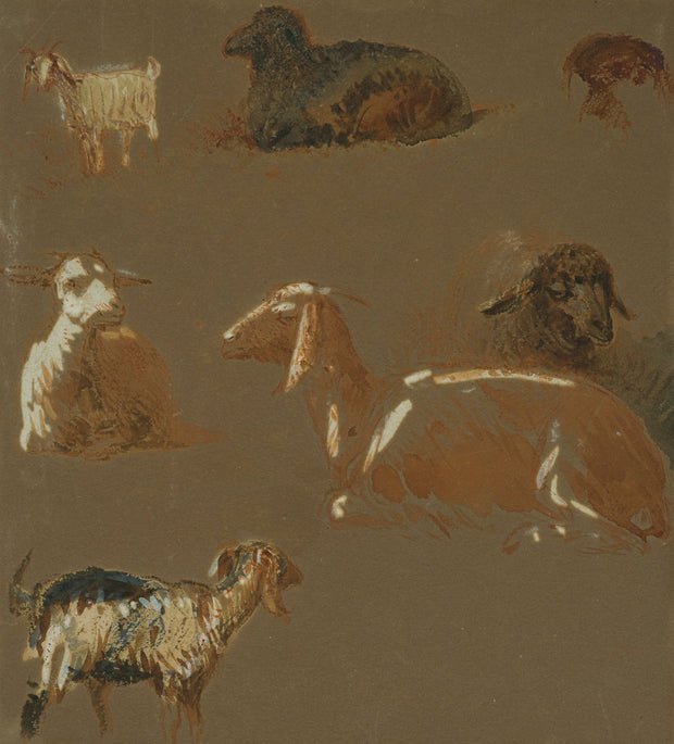 Egron Lundgren - Goats and Sheep in Various Poses, Cairo - CLASSICARTWORKS