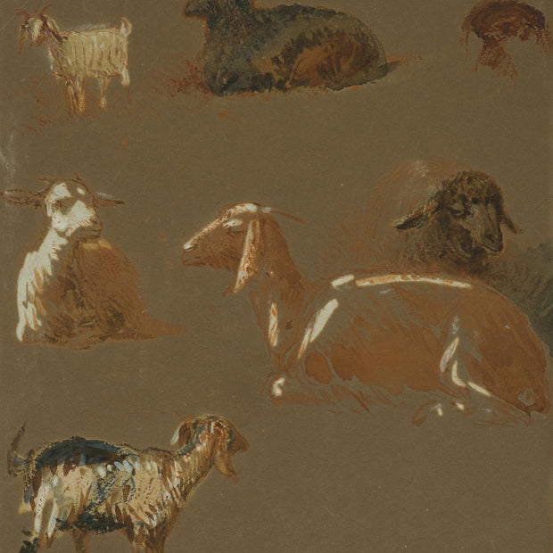 Egron Lundgren - Goats and Sheep in Various Poses, Cairo - CLASSICARTWORKS