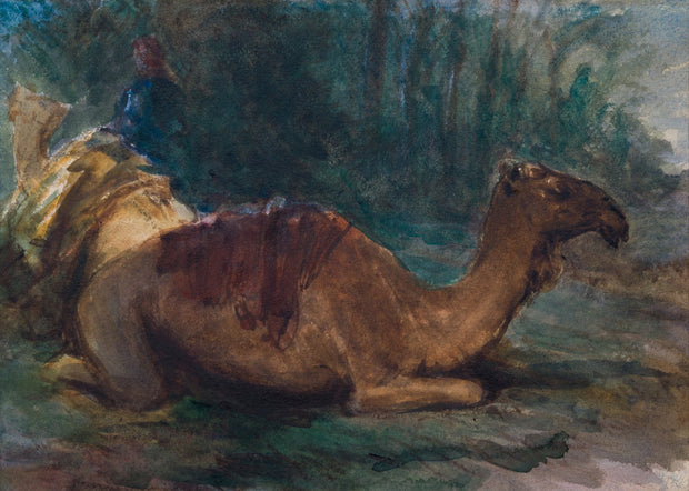 Egron Lundgren - Resting Dromedar - CLASSICARTWORKS