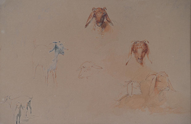 Egron Lundgren - Studies of Goat Heads and Figures, Cairo - CLASSICARTWORKS