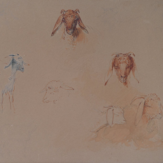 Egron Lundgren - Studies of Goat Heads and Figures, Cairo - CLASSICARTWORKS