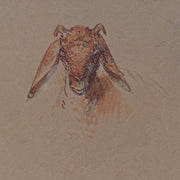 Egron Lundgren - Studies of Goat Heads and Figures, Cairo - CLASSICARTWORKS