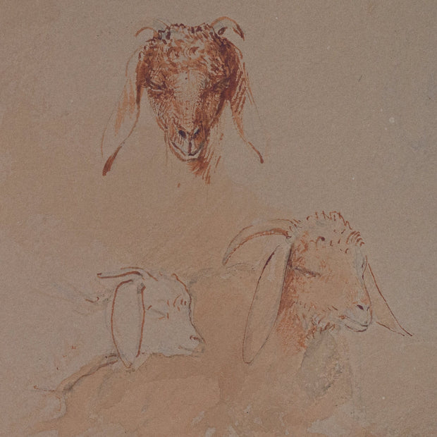 Egron Lundgren - Studies of Goat Heads and Figures, Cairo - CLASSICARTWORKS