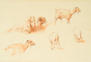 Egron Lundgren - Studies of Goats and Sheep, Cairo - CLASSICARTWORKS