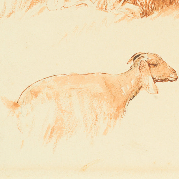 Egron Lundgren - Studies of Goats and Sheep, Cairo - CLASSICARTWORKS