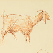 Egron Lundgren - Studies of Goats and Sheep, Cairo - CLASSICARTWORKS