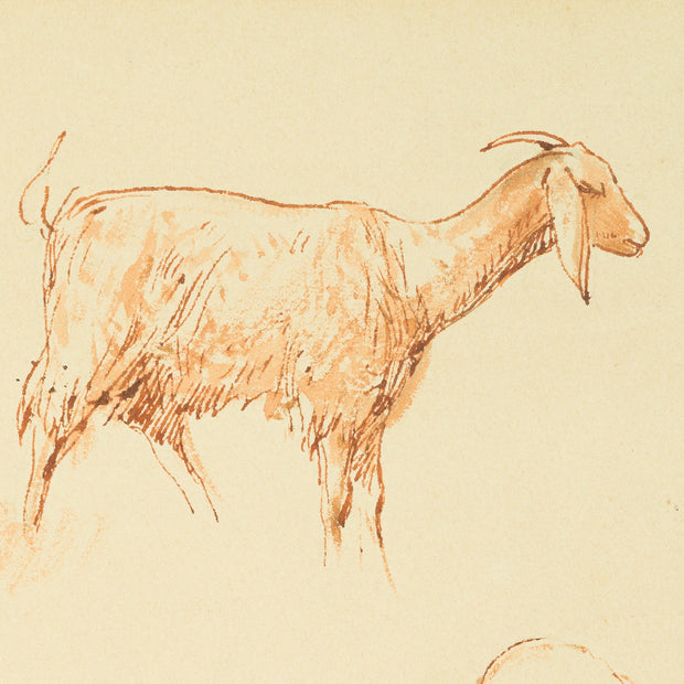 Egron Lundgren - Studies of Goats and Sheep, Cairo - CLASSICARTWORKS