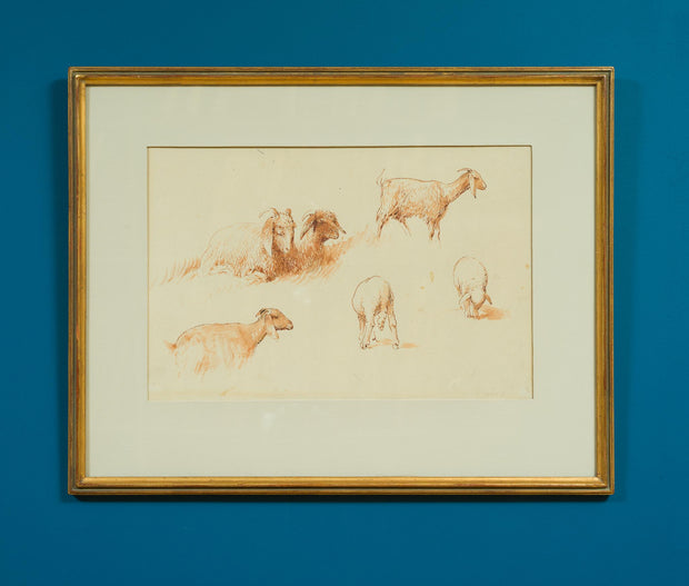 Egron Lundgren - Studies of Goats and Sheep, Cairo - CLASSICARTWORKS