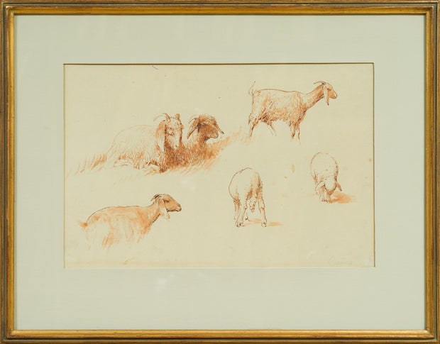 Egron Lundgren - Studies of Goats and Sheep, Cairo - CLASSICARTWORKS