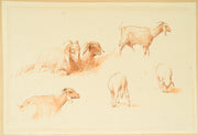 Egron Lundgren - Studies of Goats and Sheep, Cairo - CLASSICARTWORKS