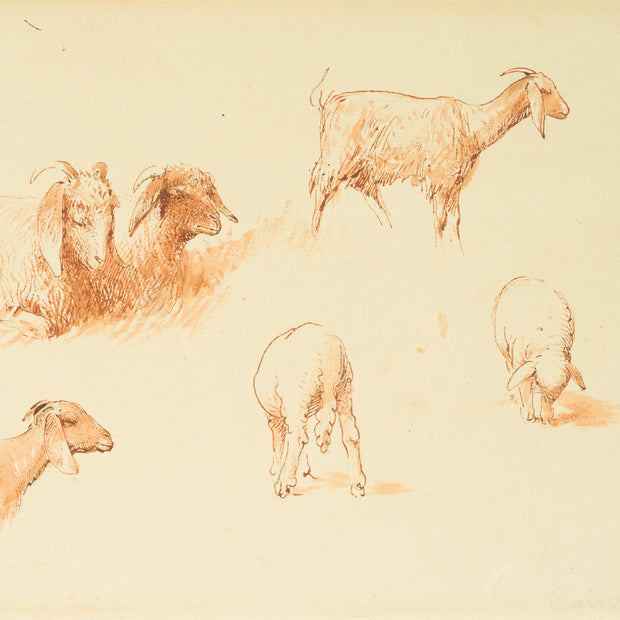 Egron Lundgren - Studies of Goats and Sheep, Cairo - CLASSICARTWORKS