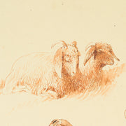 Egron Lundgren - Studies of Goats and Sheep, Cairo - CLASSICARTWORKS