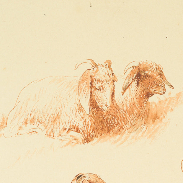 Egron Lundgren - Studies of Goats and Sheep, Cairo - CLASSICARTWORKS