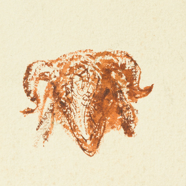 Egron Lundgren - Studies of Sheep and Goat Heads, Cairo - CLASSICARTWORKS