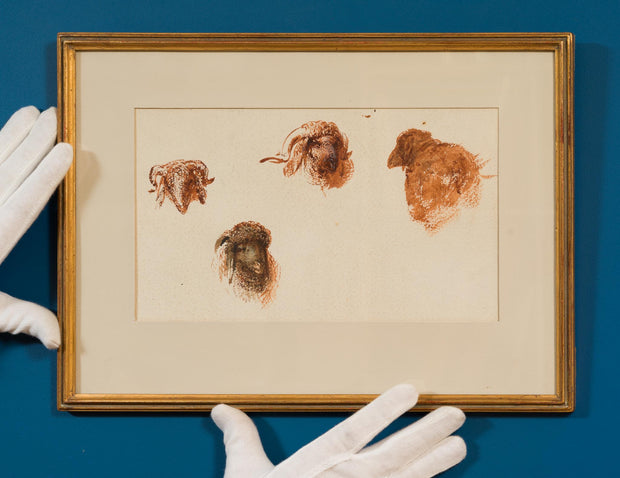 Egron Lundgren - Studies of Sheep and Goat Heads, Cairo - CLASSICARTWORKS