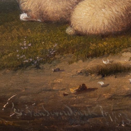 Franz van Severdonck - Sheep, Ducks and Hens - CLASSICARTWORKS