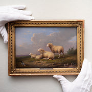 Franz van Severdonck - Sheep, Ducks and Hens - CLASSICARTWORKS