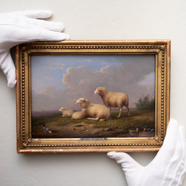 Franz van Severdonck - Sheep, Ducks and Hens - CLASSICARTWORKS