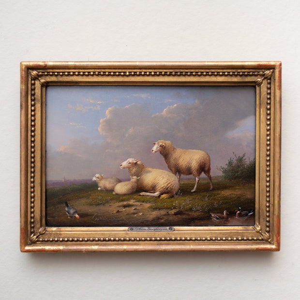 Franz van Severdonck - Sheep, Ducks and Hens - CLASSICARTWORKS