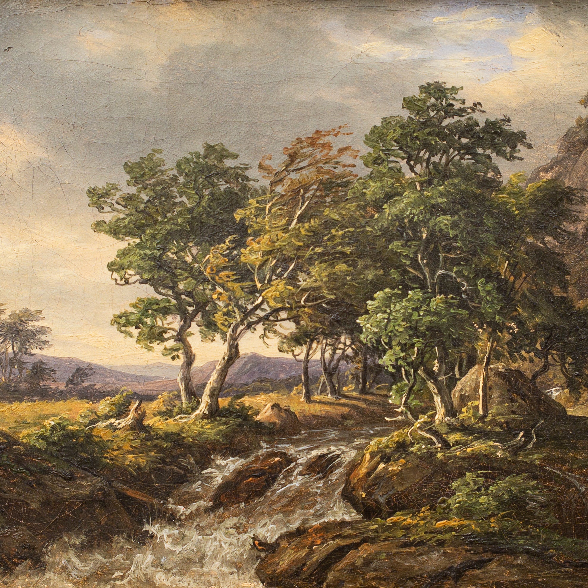 Drenge Frederik Danielsen 写真集 Frederik Christian Kiaerskou - Djupadal in Blekinge, 1855