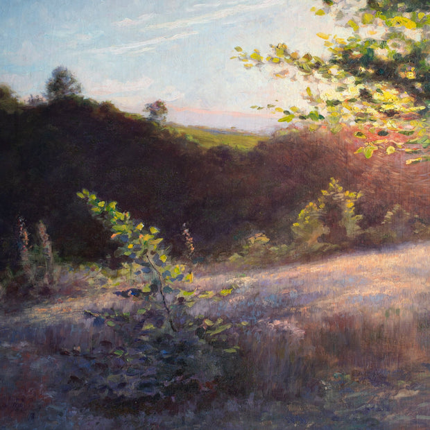 Herman Österlund - Sunset at Rövarekulan - CLASSICARTWORKS