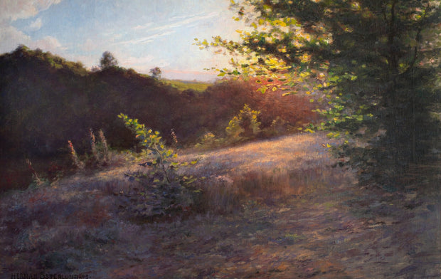 Herman Österlund - Sunset at Rövarekulan - CLASSICARTWORKS