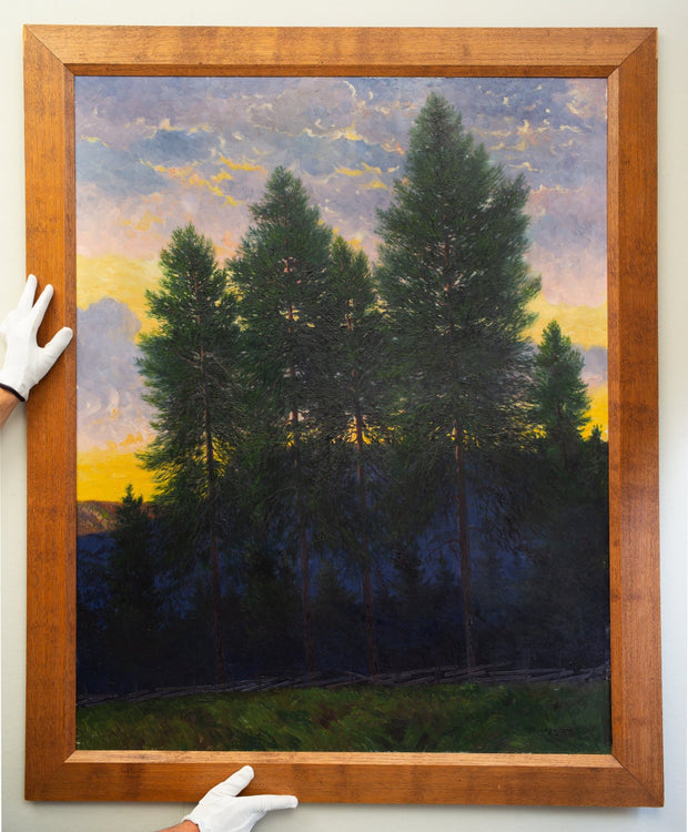 Oscar Lycke - Pines in Sunset, Motif from Liden - CLASSICARTWORKS