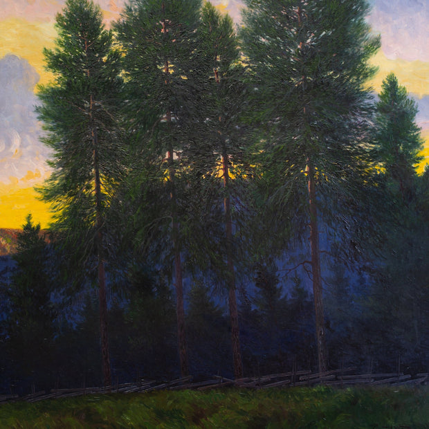 Oscar Lycke - Pines in Sunset, Motif from Liden - CLASSICARTWORKS
