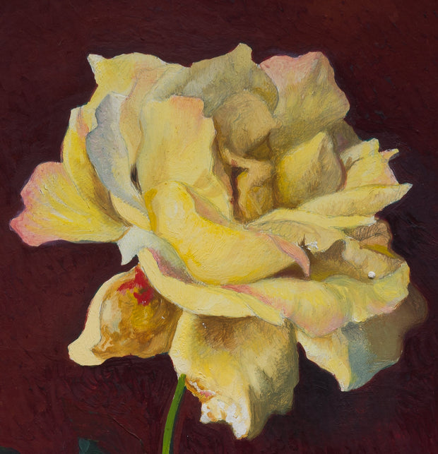 Owe Zerge - Yellow Rose - CLASSICARTWORKS