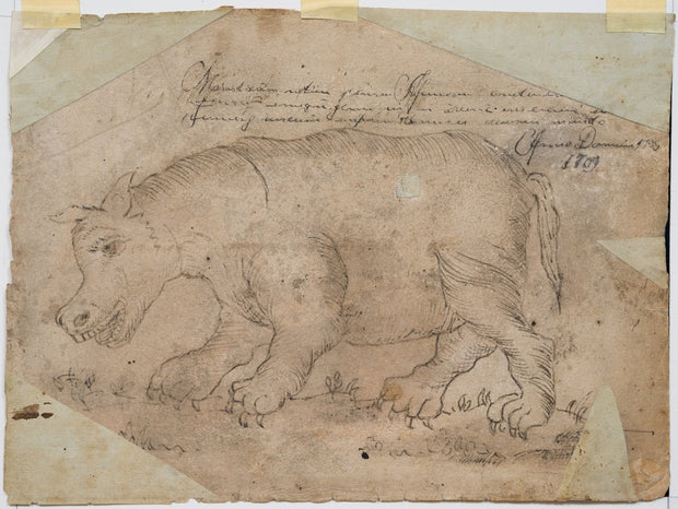Rhinoceros and Hippopotamus, 1709 - CLASSICARTWORKS