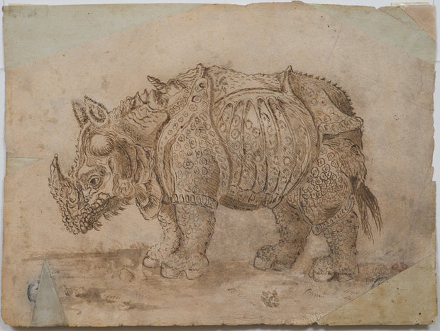 Rhinoceros and Hippopotamus, 1709 - CLASSICARTWORKS