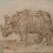 Rhinoceros and Hippopotamus, 1709 - CLASSICARTWORKS
