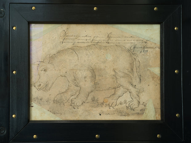 Rhinoceros and Hippopotamus, 1709 - CLASSICARTWORKS